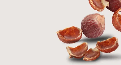 Tvttntter  naturlig rengring utan skadliga kemikalier