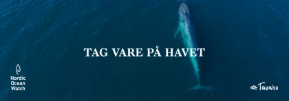 Alle kan tage vare p havet - et samarbejde med Nordic Ocean Watch