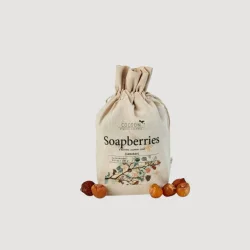 Soapberry