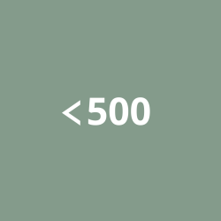 Gaver til hende under 500 kr.