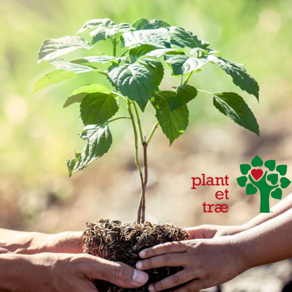 Vi støtter Plant et Træ