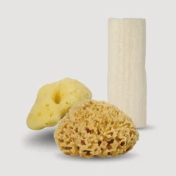 Natural sponges and Loofah