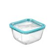 Glasf�rvaringsl�da med glaslock - ugnss�ker - 14x14 cm