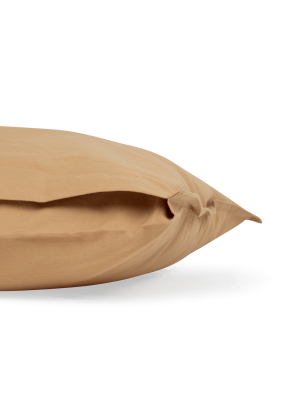 kologisk sengest - Oak - 140 x 220 cm.