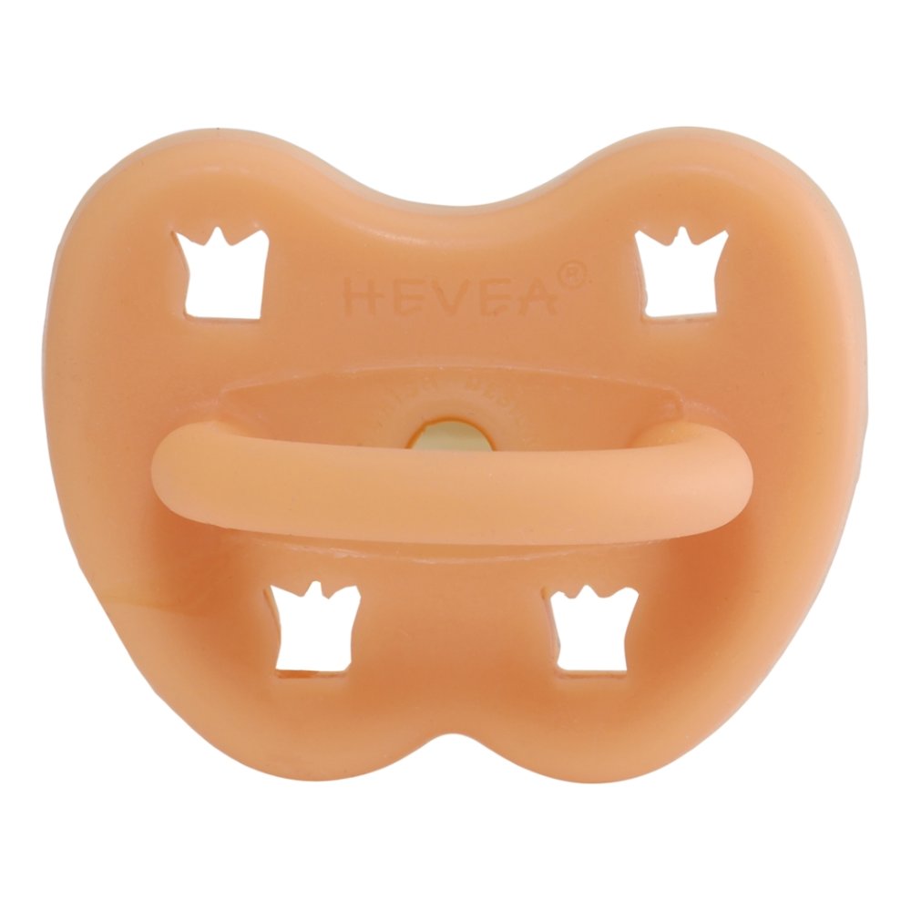 Hevea sut - Anatomisk - Cantaloupe