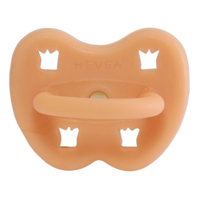 Hevea sut - Anatomisk - Cantaloupe