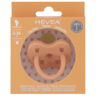 Hevea sut - Anatomisk - Cantaloupe