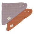 Bibs in organic cotton - Spring Mix - 2 pcs