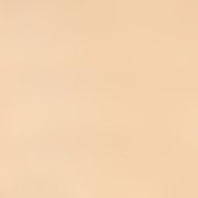 ZAO concealer stick nr. 491 - Ivory