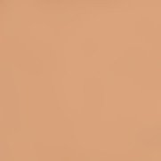 ZAO concealer stick nr. 494 - Dark Brown