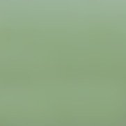 ZAO concealer stick nr. 499 - Green