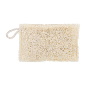 Loofah dish sponge