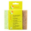 Reng�ringssvampe - 2 stk