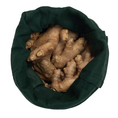 Brdpose - Food Bag - Medium - Dark Green