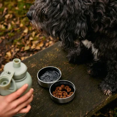 Haps Dog vandflaske til hund inkl. 2 skle - Minty
