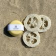 Loofah Schwamm