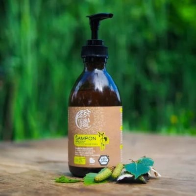 Shampoo af sbend & birkeekstrakt - med citrongrs - 230 ml