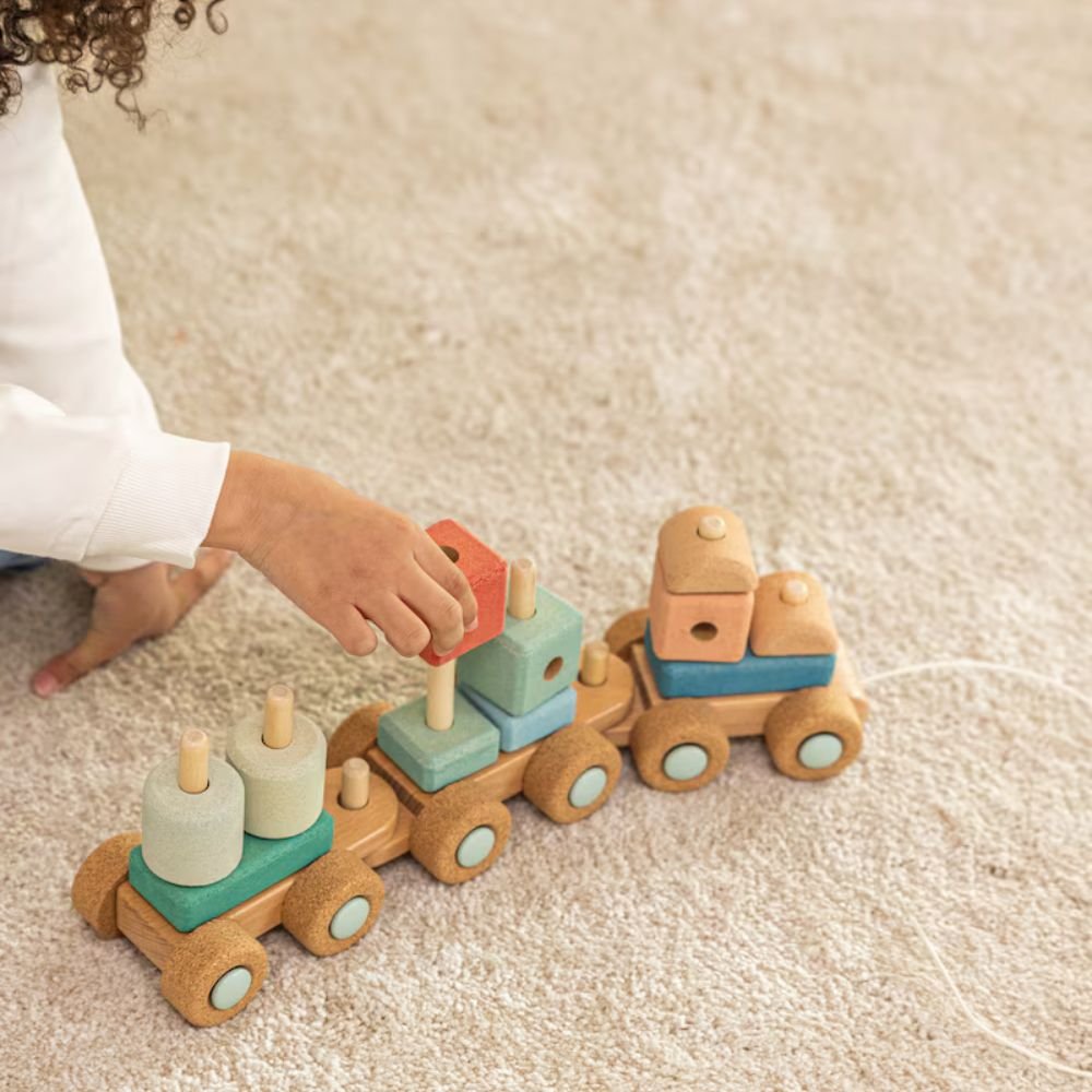 Pull along train in cork - Chugtastic Adventures