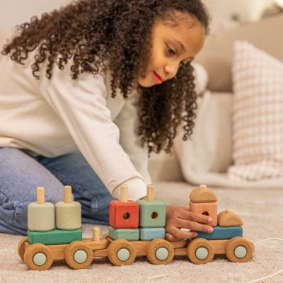 Pull along train in cork - Chugtastic Adventures