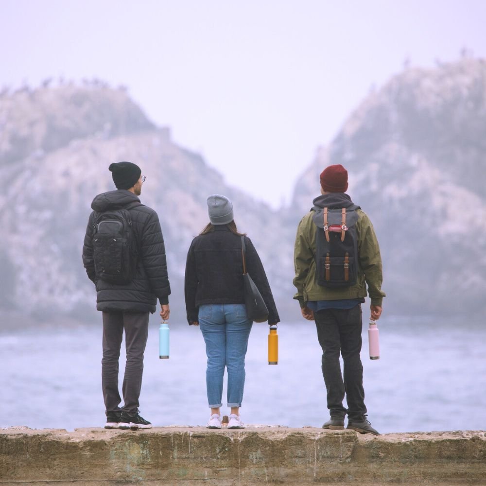 Insulated water bottle with Loop Cap - 592 ml - Lotus