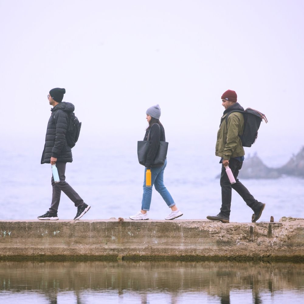 Insulated water bottle with Loop Cap - 592 ml - Purple Potion