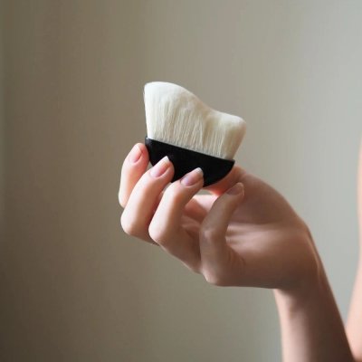 Dry Shampoo Brush