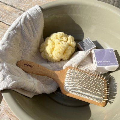 Hairbrush in beech wood - antistatic - large