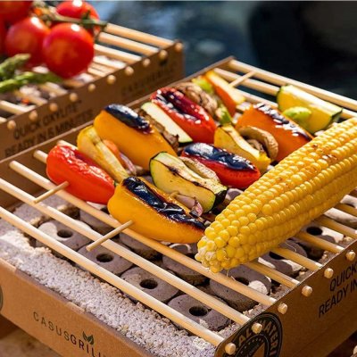 Einweggrill ohne Metall - CasusGrill mit Lavasteinen
