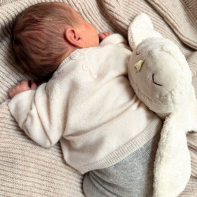 �kologisk varmepude bamse - Lille Ugle