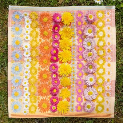 Waschlappen-Set #132 - Daisy & Dande - 2er Pack