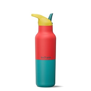 Insulated stainless steel water bottle - Cayenne Kaleidoscope