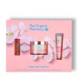 Petal-soft Skin Kit - hudplejes�t med retinol og hyben