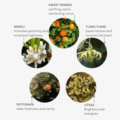Aromaterapi roller til hum�rl�ft med neroli - Joyful Light