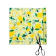 Bee's Wrap Bienenwachst�ch auf Rolle - Fresh Squeeze - XXL