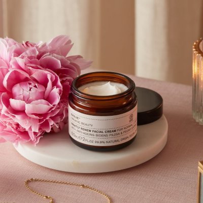 Bio-Retinol Nachtcreme gegen Falten - Nightly Renew Facial Cream